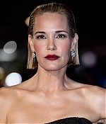 Leslie Bibb Web