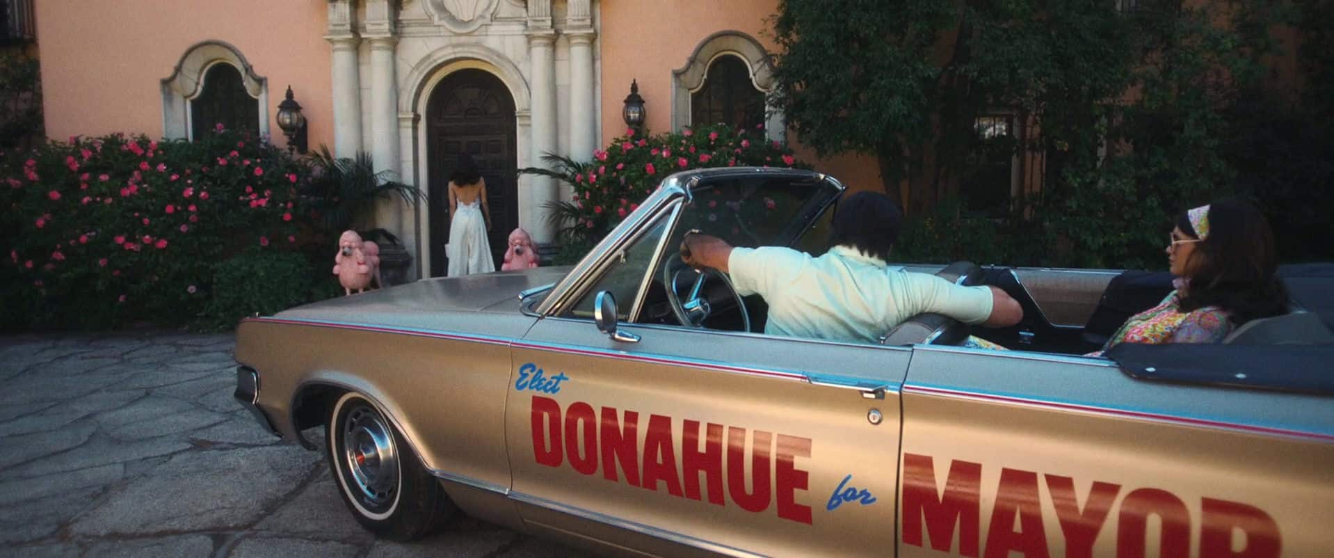 0081.jpg 0081.jpg